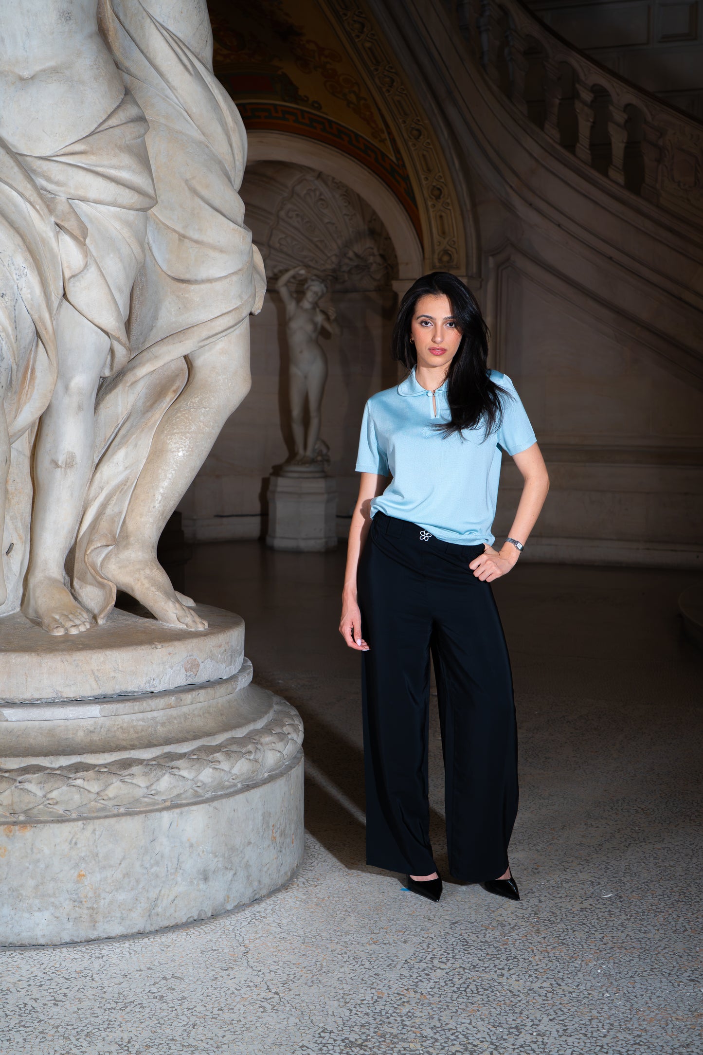 LE POLO CÉLESTE