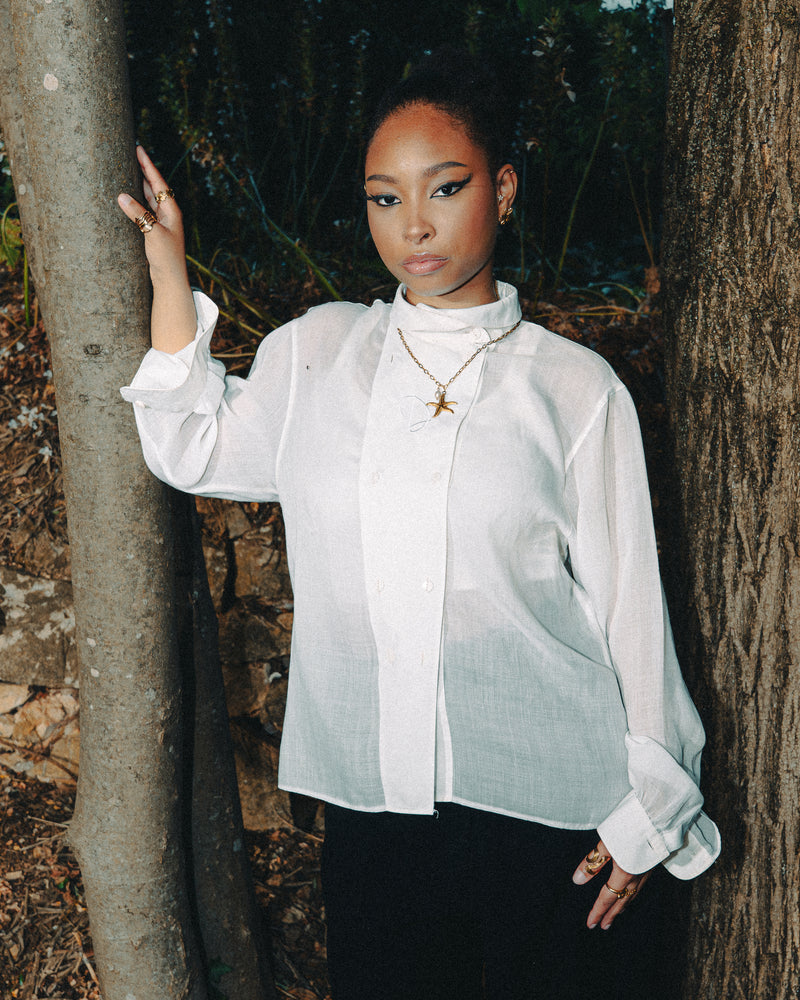LA CHEMISE PLASTRON