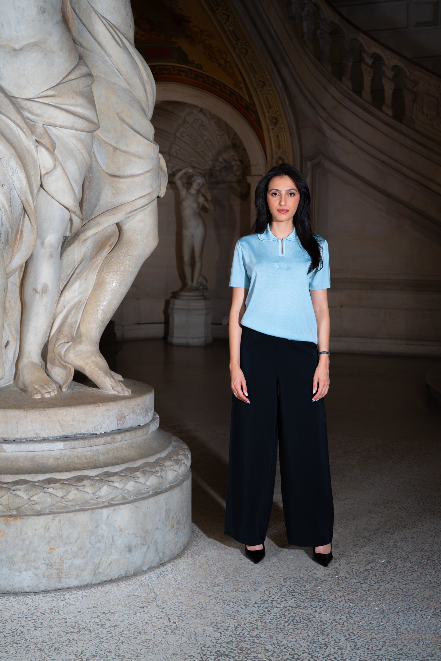 LE POLO CÉLESTE