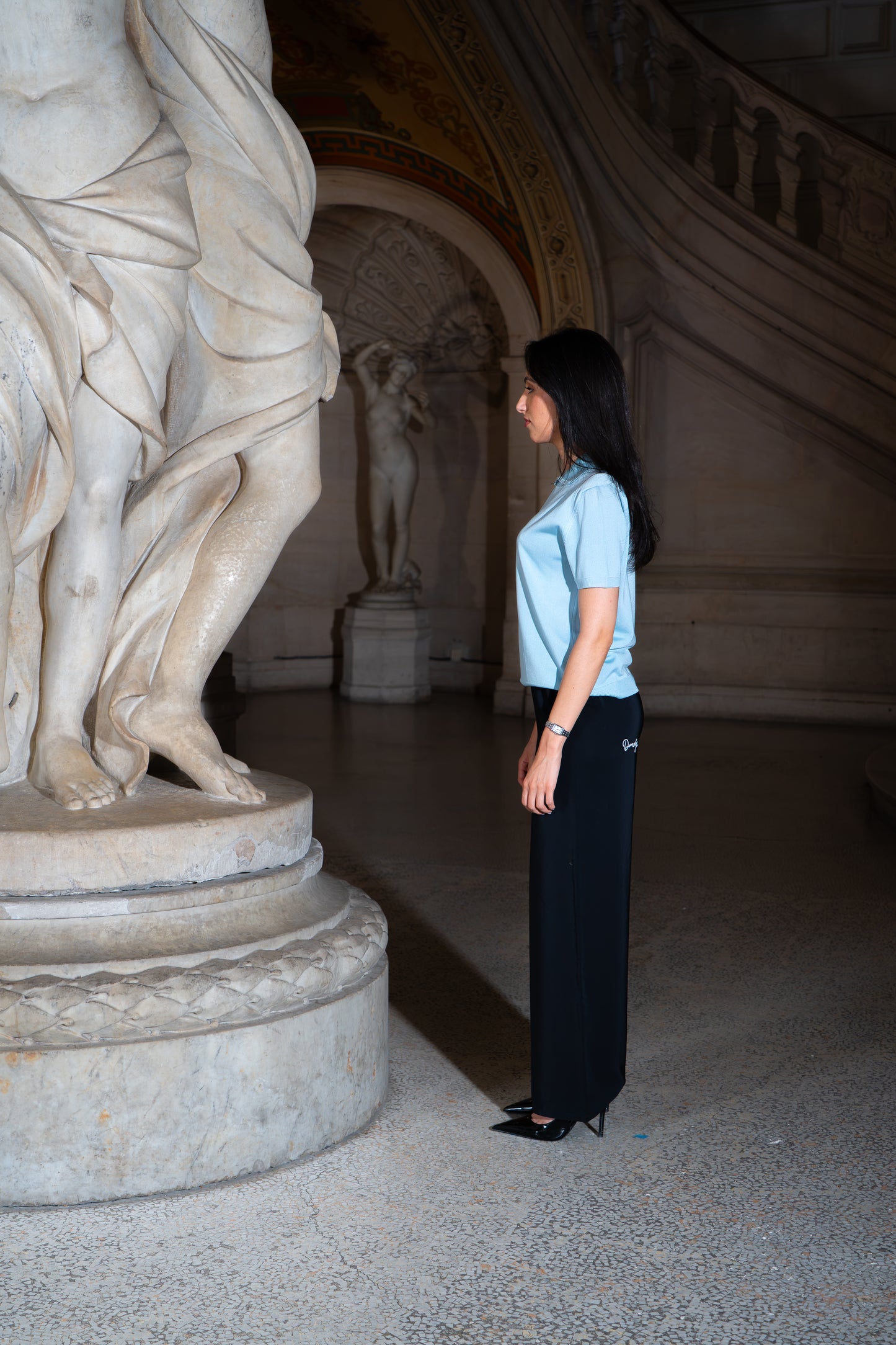 LE POLO CÉLESTE