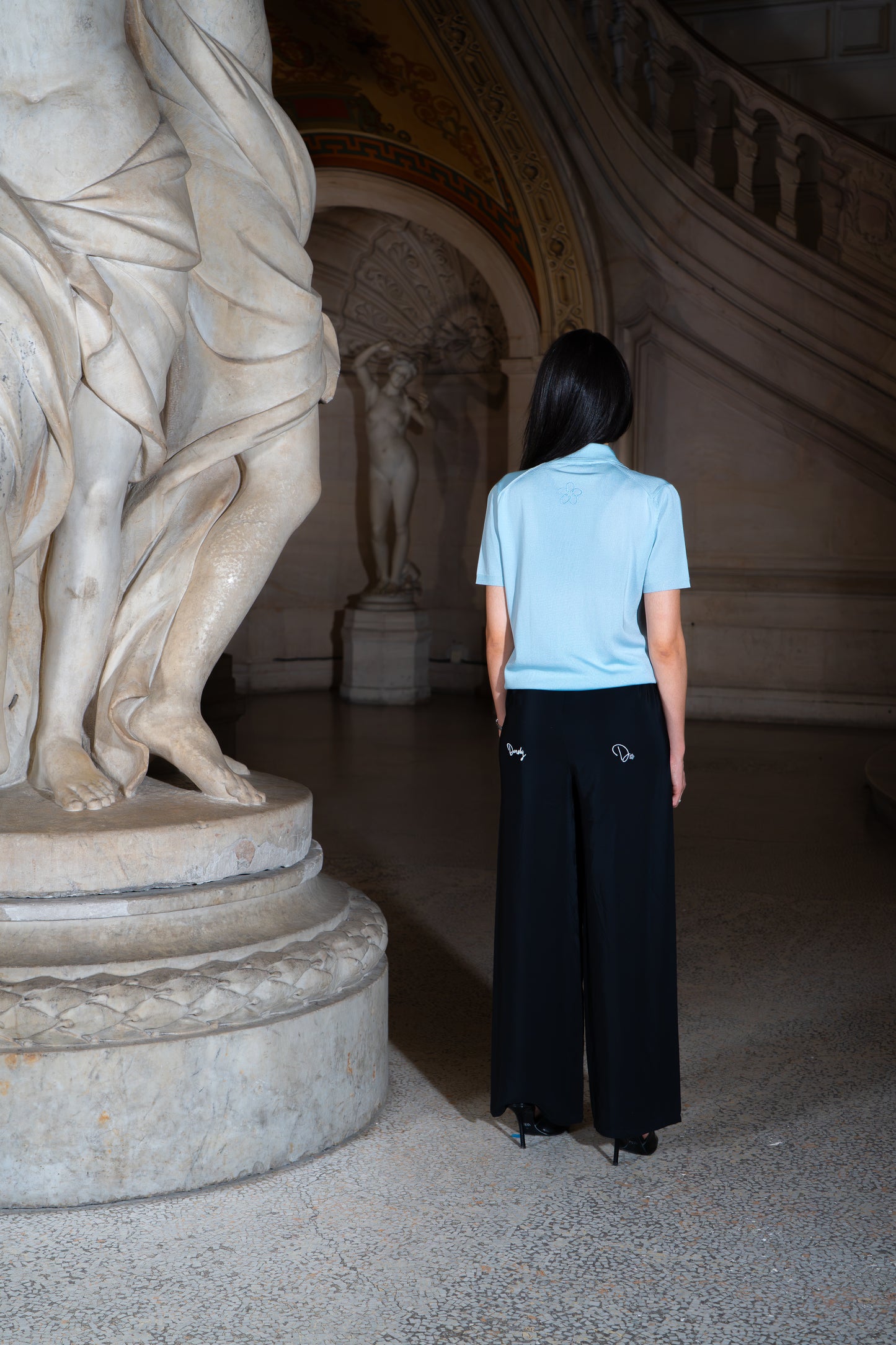 LE POLO CÉLESTE