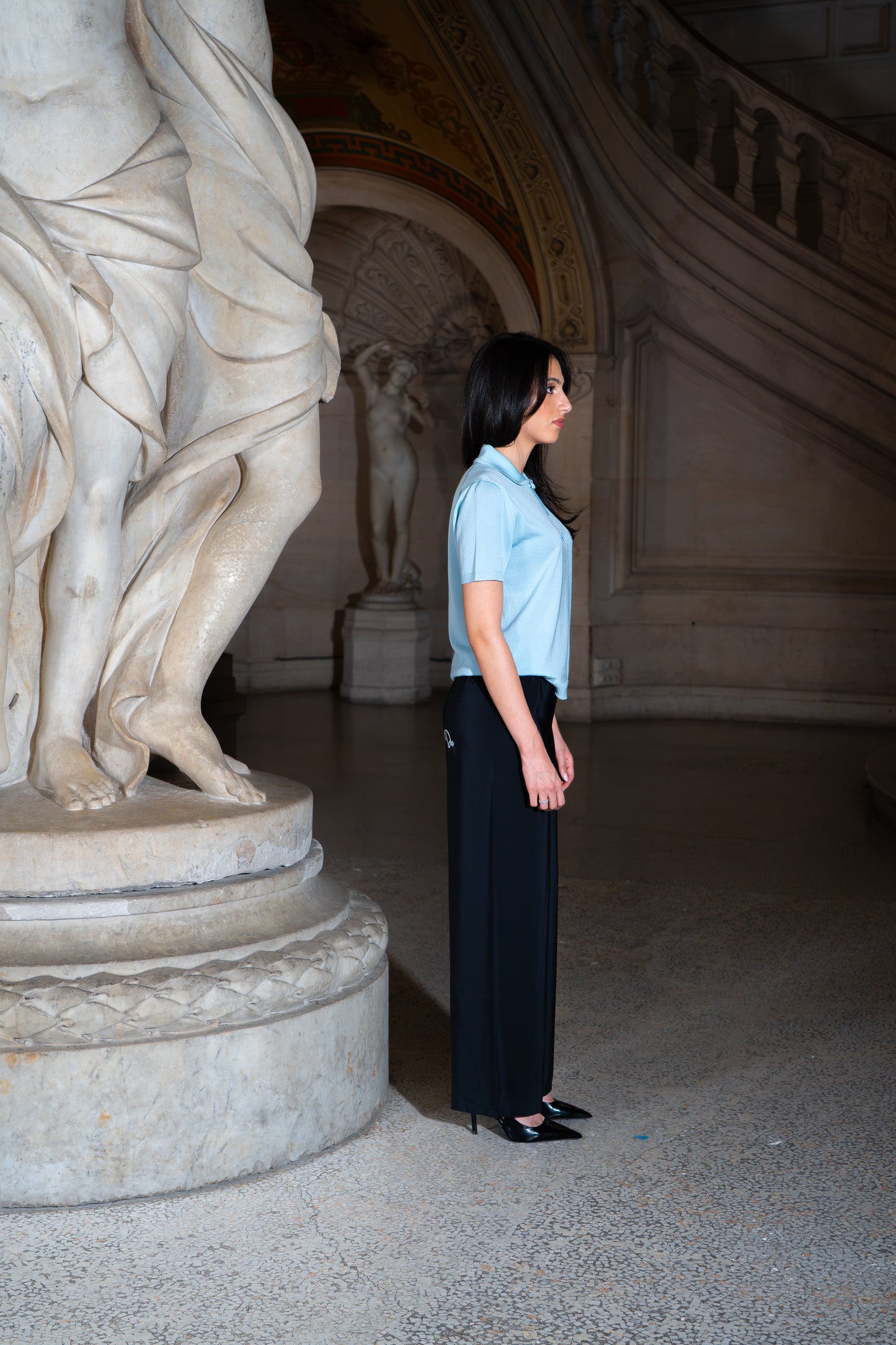LE POLO CÉLESTE