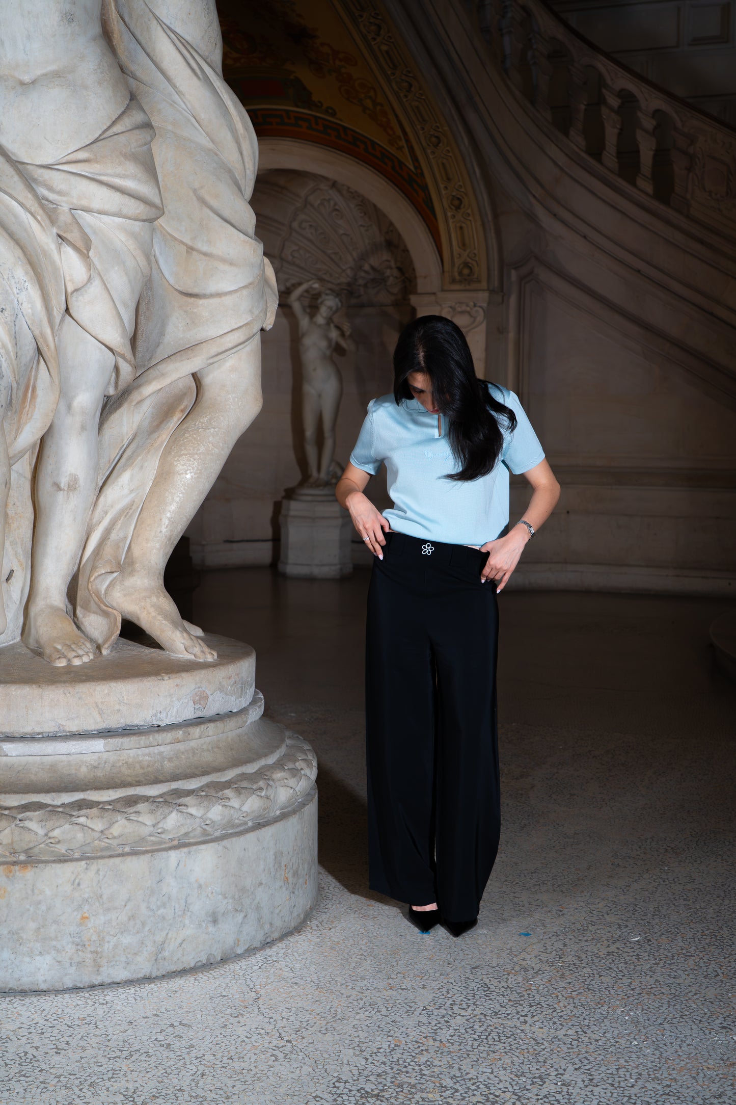LE POLO CÉLESTE
