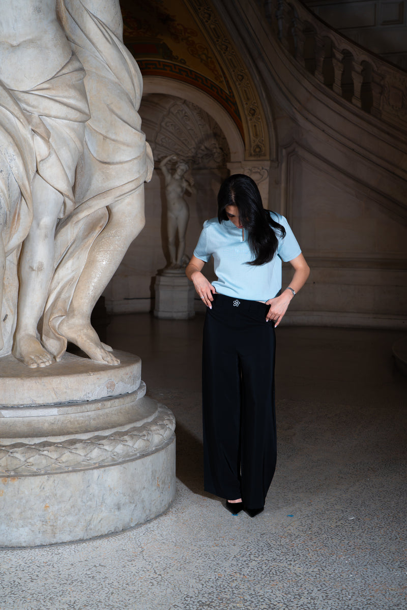 LE POLO CÉLESTE
